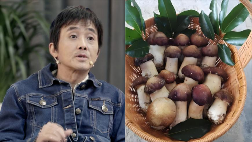 4949澳门免费资料大全凤凰网,周琦儿子真社牛,动态词语解释落实_公测版V10.87